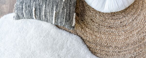 carpet cleaning services