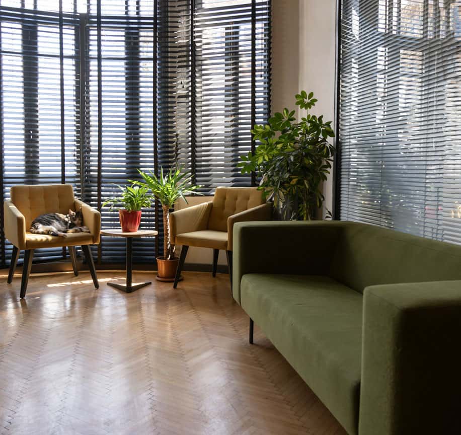 Contemporary office lounge with green and yellow chairs and indoor plants.