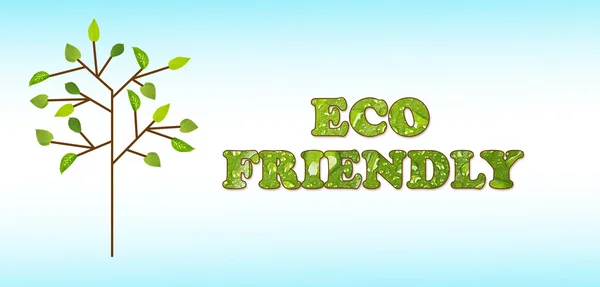 eco friendly cleaning